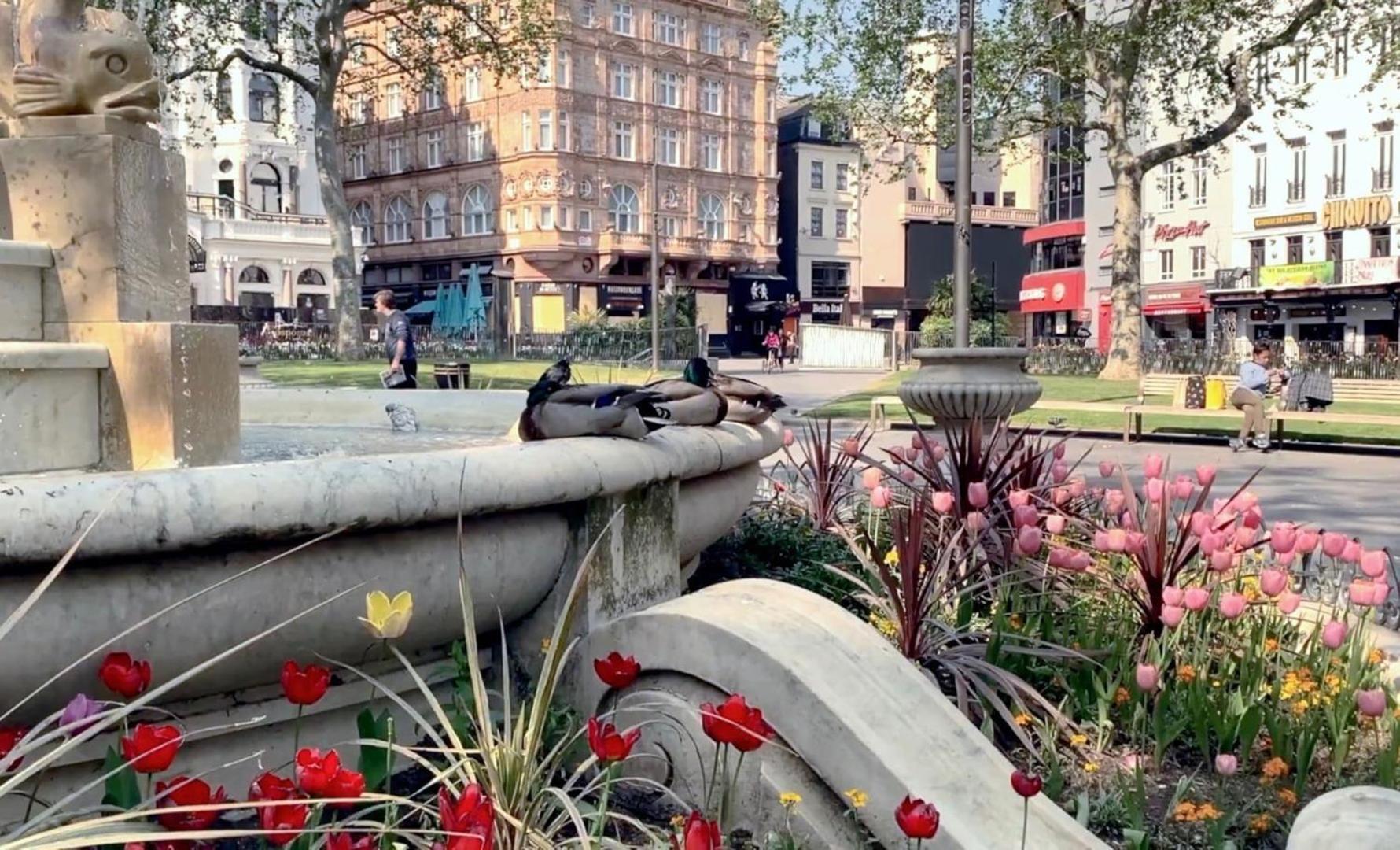 Fantastic 1 Bedroom Flat Leicester Square West End Лондон Екстер'єр фото
